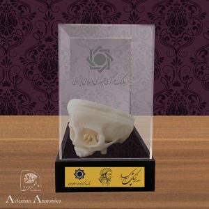 تندیس روز پزشک